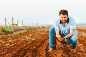 Italy farm working jobs