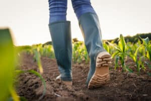 Italy farm working jobs